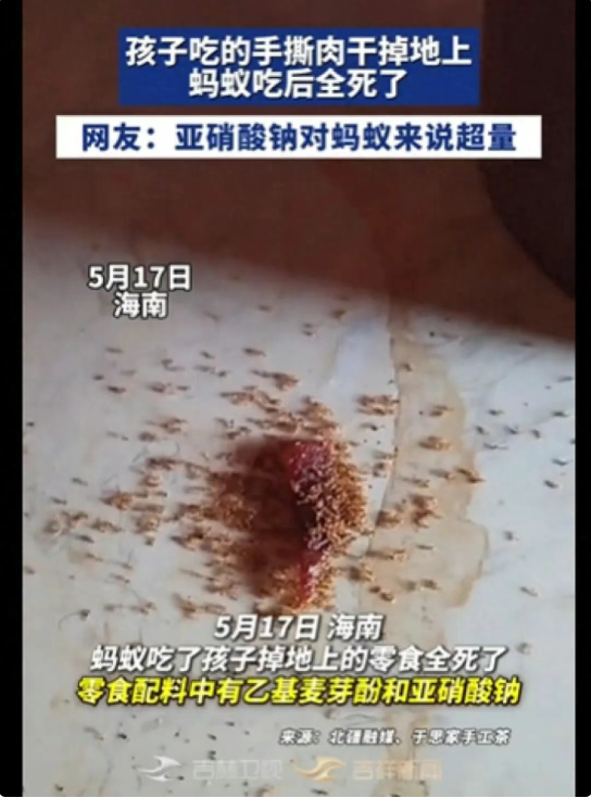 孩子零食碎渣掉地上, 蚂蚁吃完集体死亡