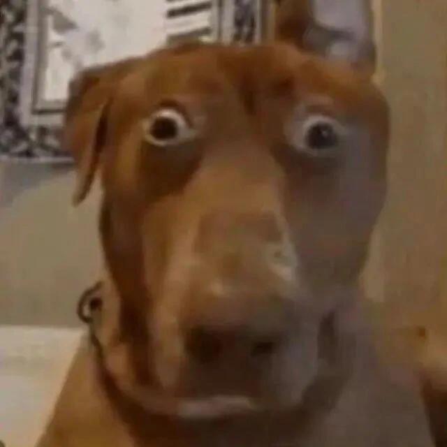 天呐，原来小红薯上有这么多信息差​​​