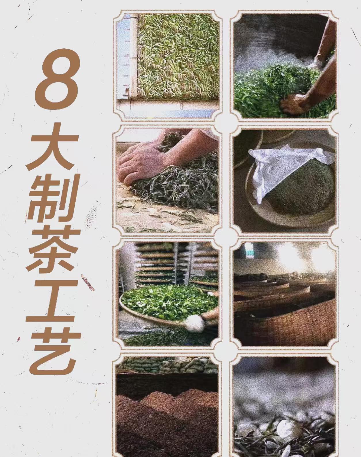 福钧不是来旅游的，他三次进中国，一次比一次拿得狠。第一次他偷偷搞清绿茶红茶是