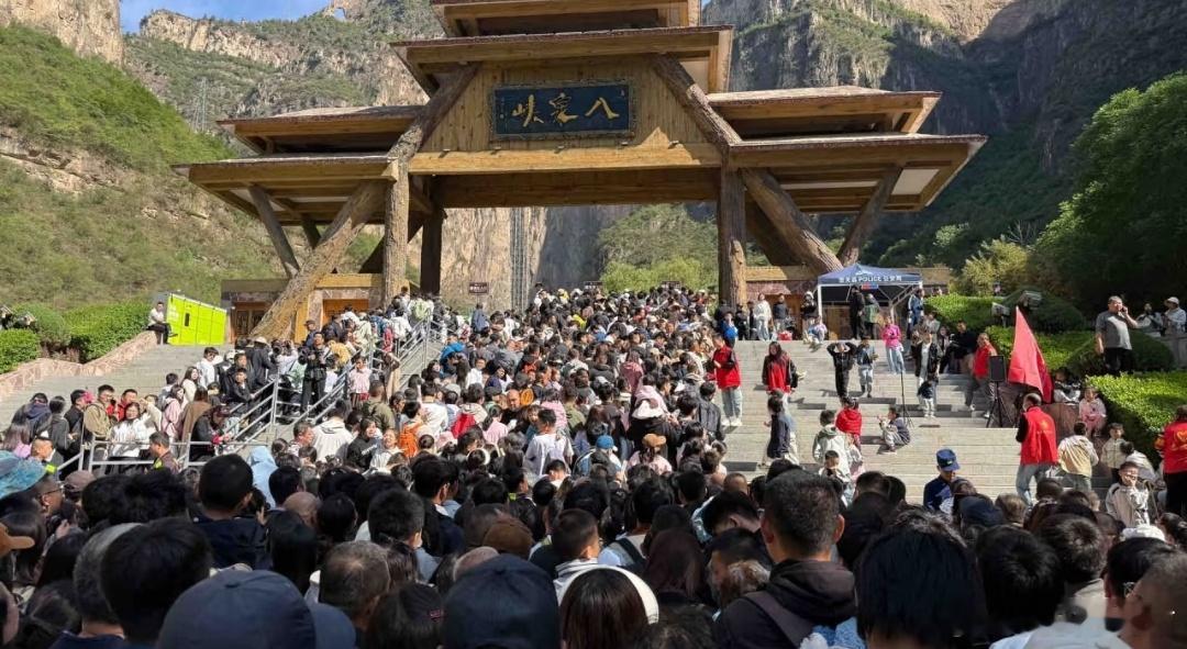 五一假期好像在下饺子春日放个疯​​​