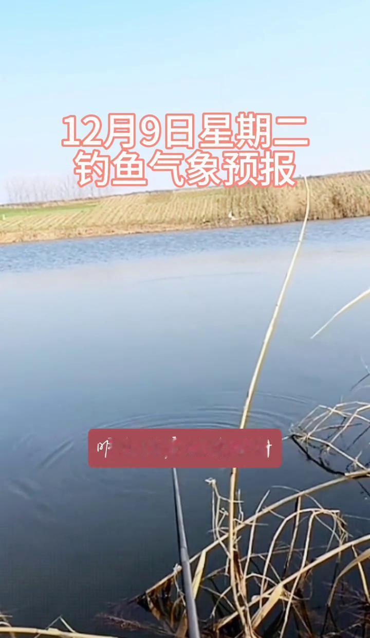 早上六点就起床？冬天钓鱼的人真不是一般人！你还在被窝里赖着，人家已经扛着钓竿