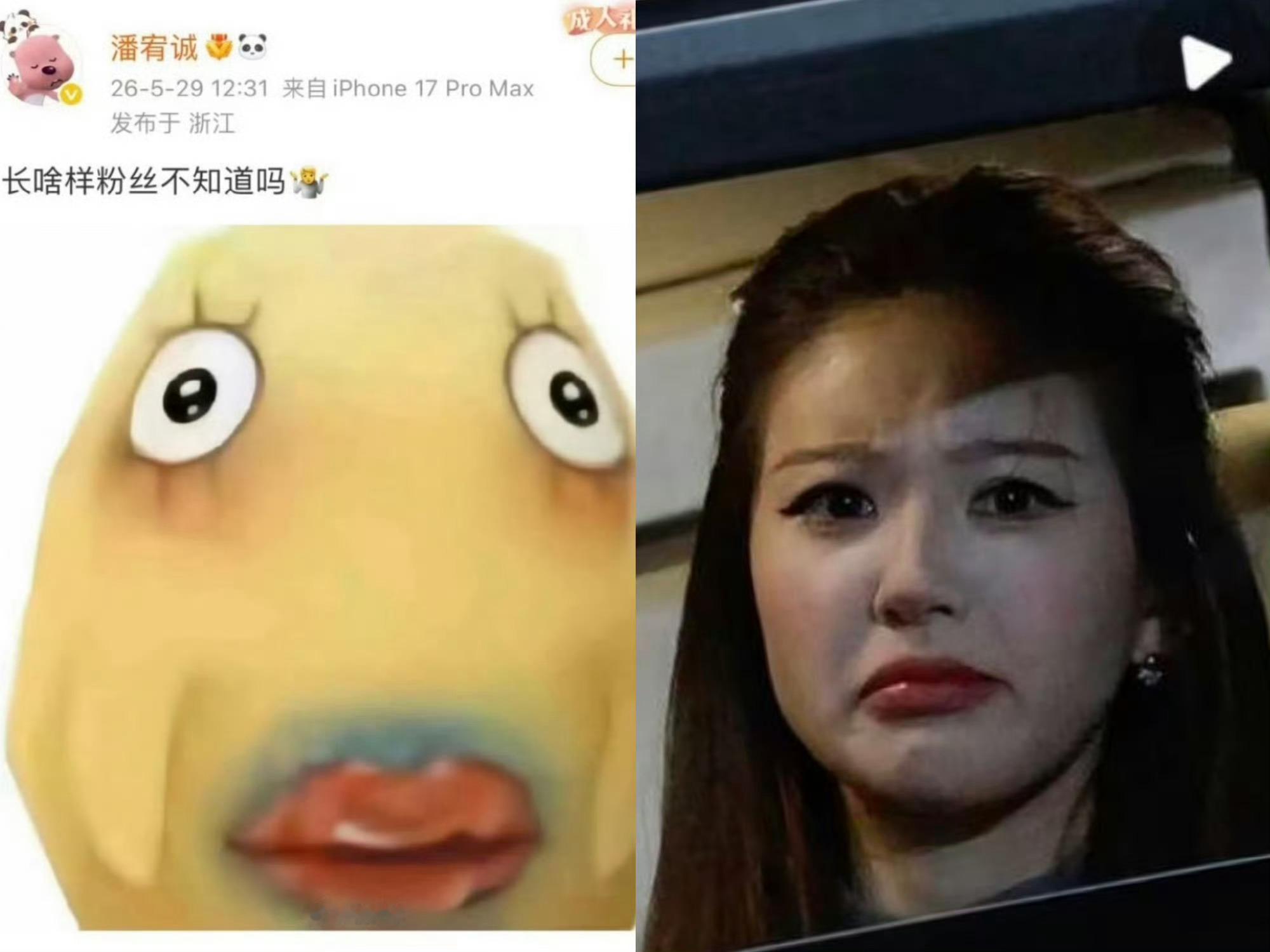 虞书欣双轨海外热度超过许我耀眼润肤霜请独立行走