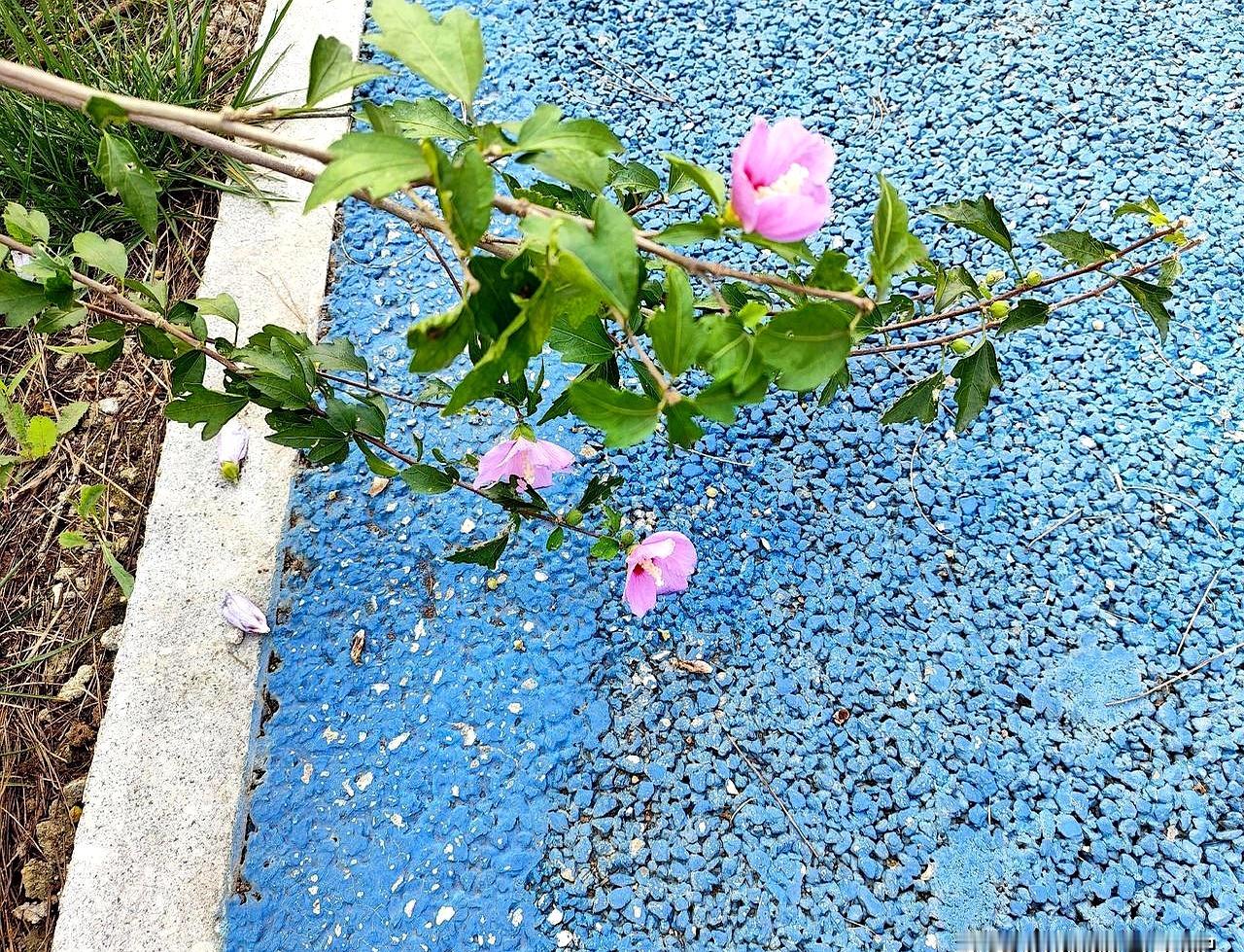 公公癌症晚期躺床上瘦成一把骨头，小叔子一家提盒月饼、箱牛奶就来“团聚”，弟媳还当