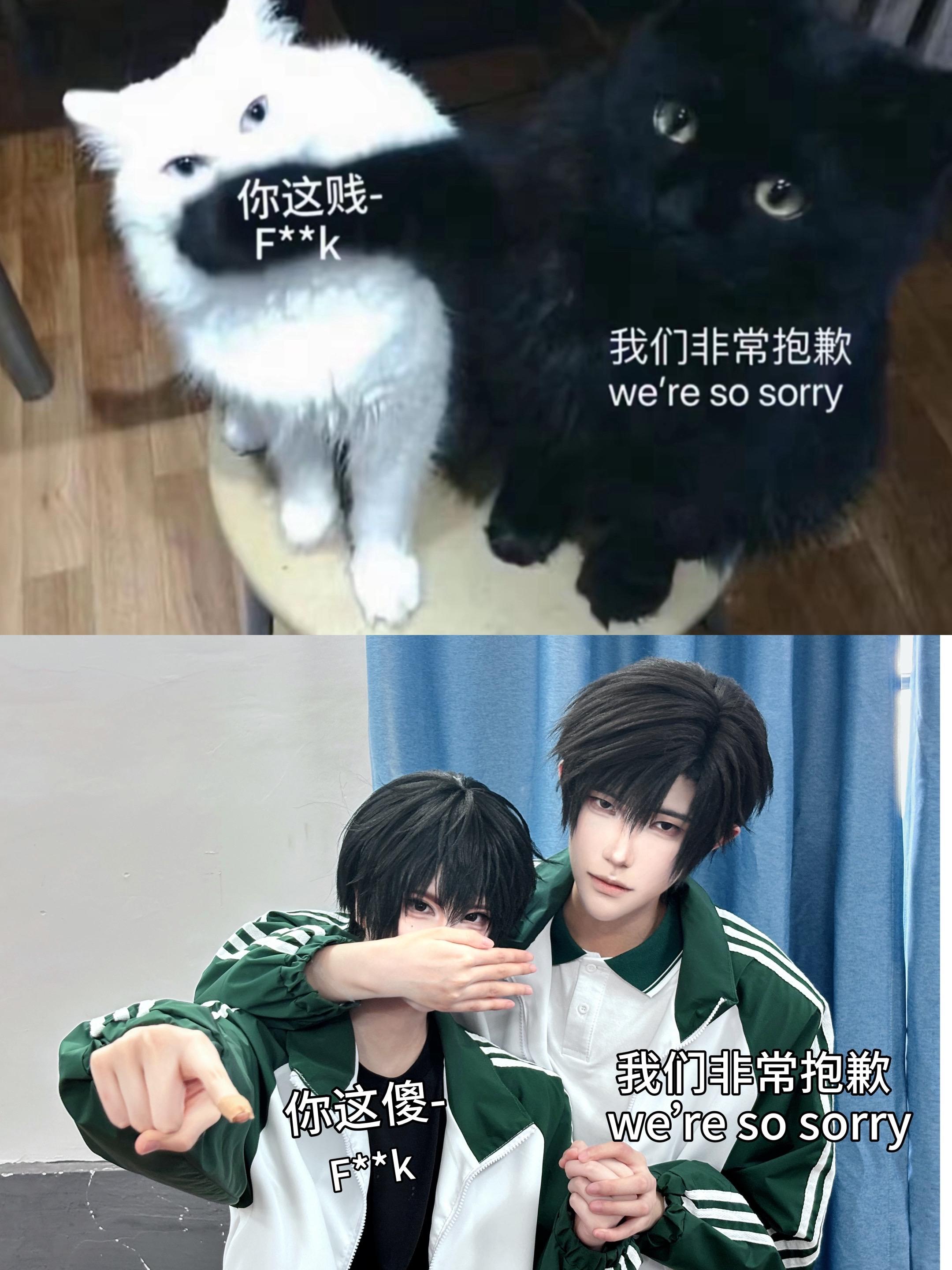我们很抱歉。