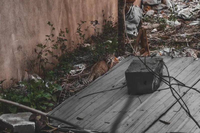 善良给我带来了很多。曾经我也以为善良是软肋，总是让步、真心帮人，却被当成理所当然