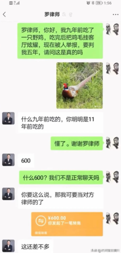法律的严肃性和灵活性。