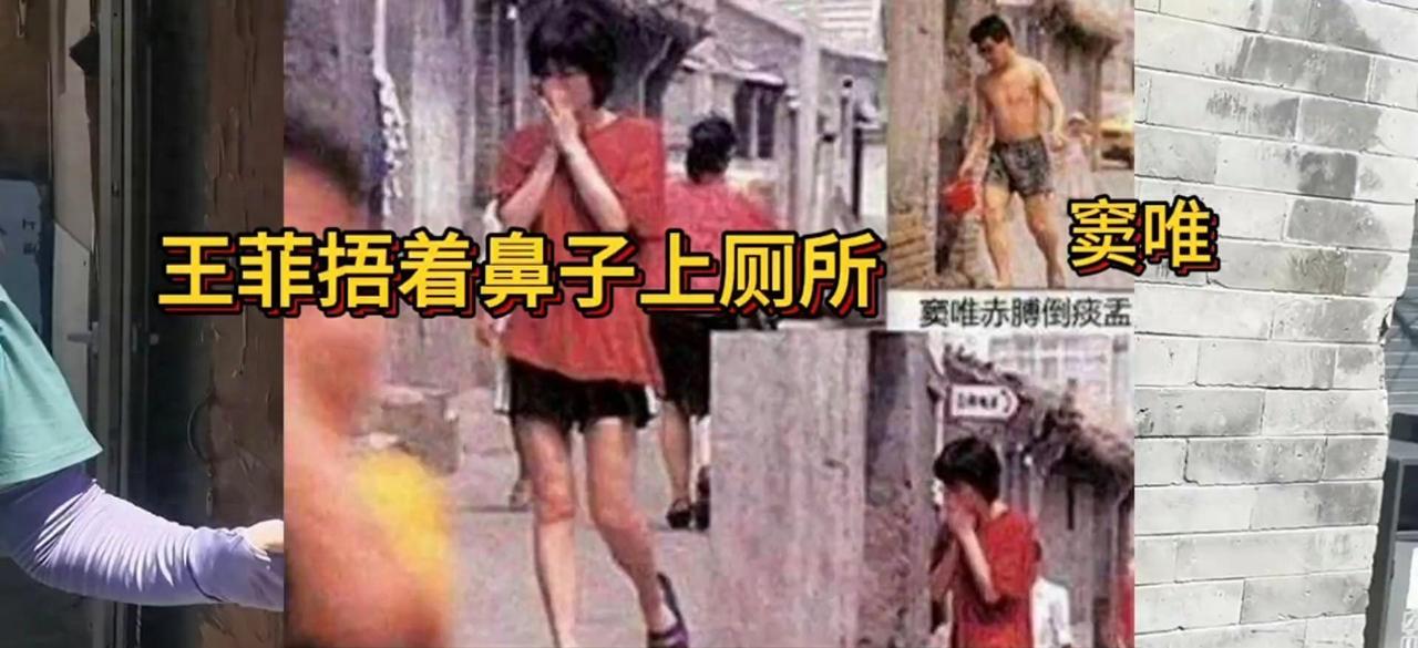 王菲这张捂鼻子的照片，是她这辈子最不“天后”的时刻！北京交道口北三条，公共厕