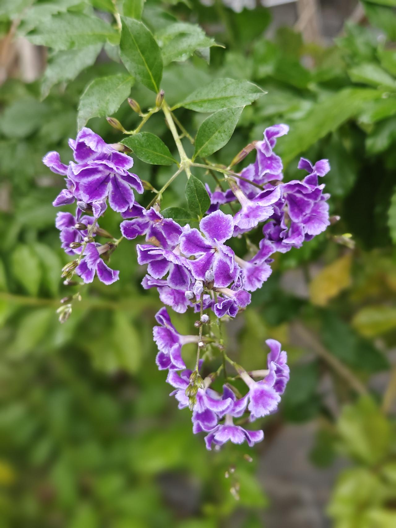 心情不好的时候建议看看以前的央视走近科学栏目，太可乐了~1.有个地方人走过没