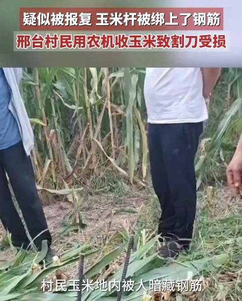 玉米地埋钢筋害人害己：若查实人为故意，绝非民事赔偿这么简单。9月27日，河北