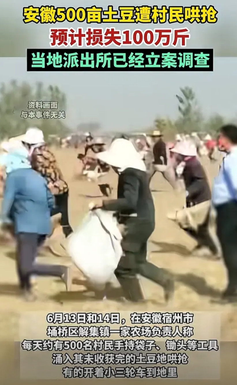 安徽宿州618力度这么大吗？看到新闻安徽宿州数百村民哄抢土豆，才知道原来另一位