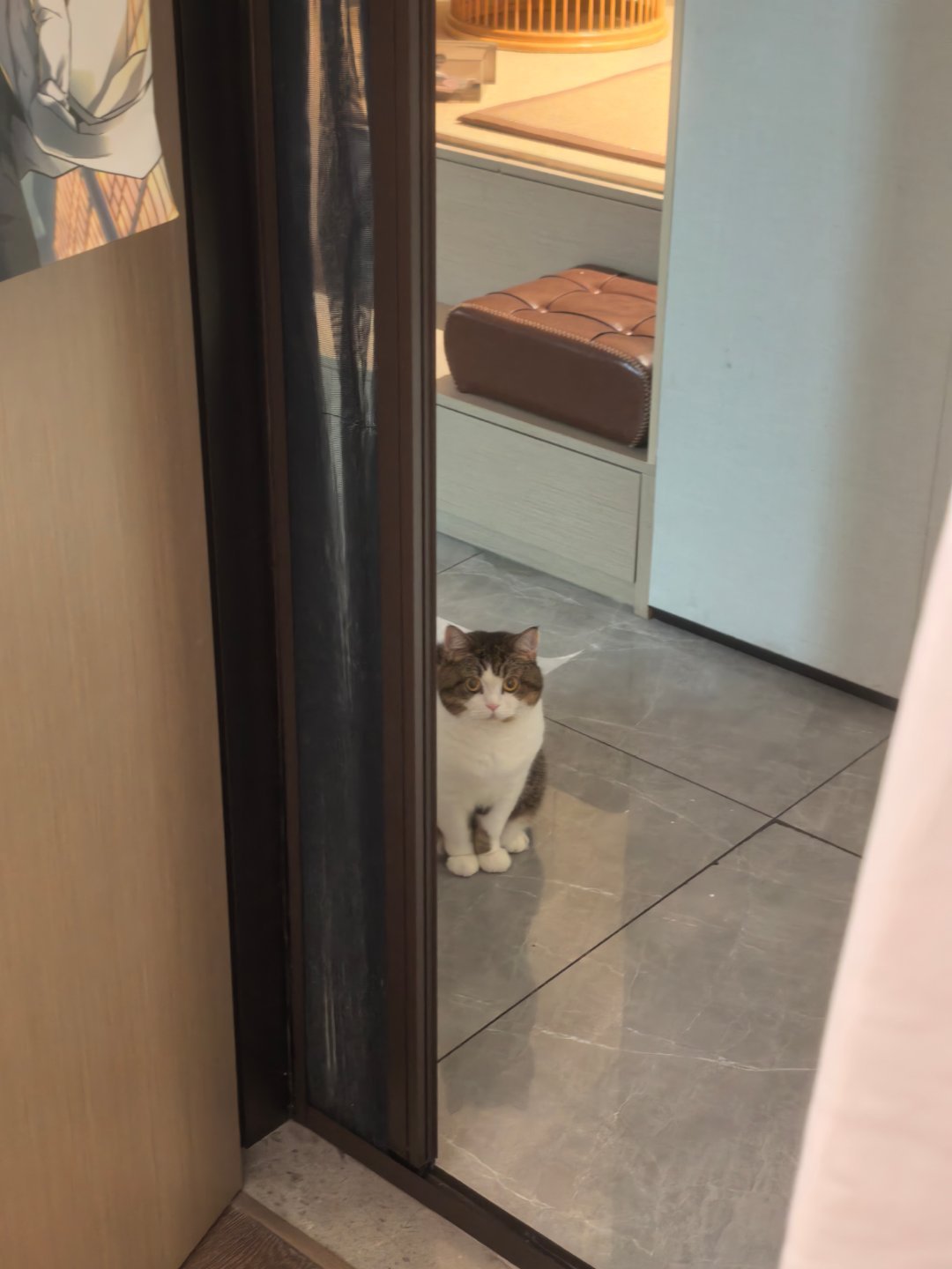 小贼…​​​
