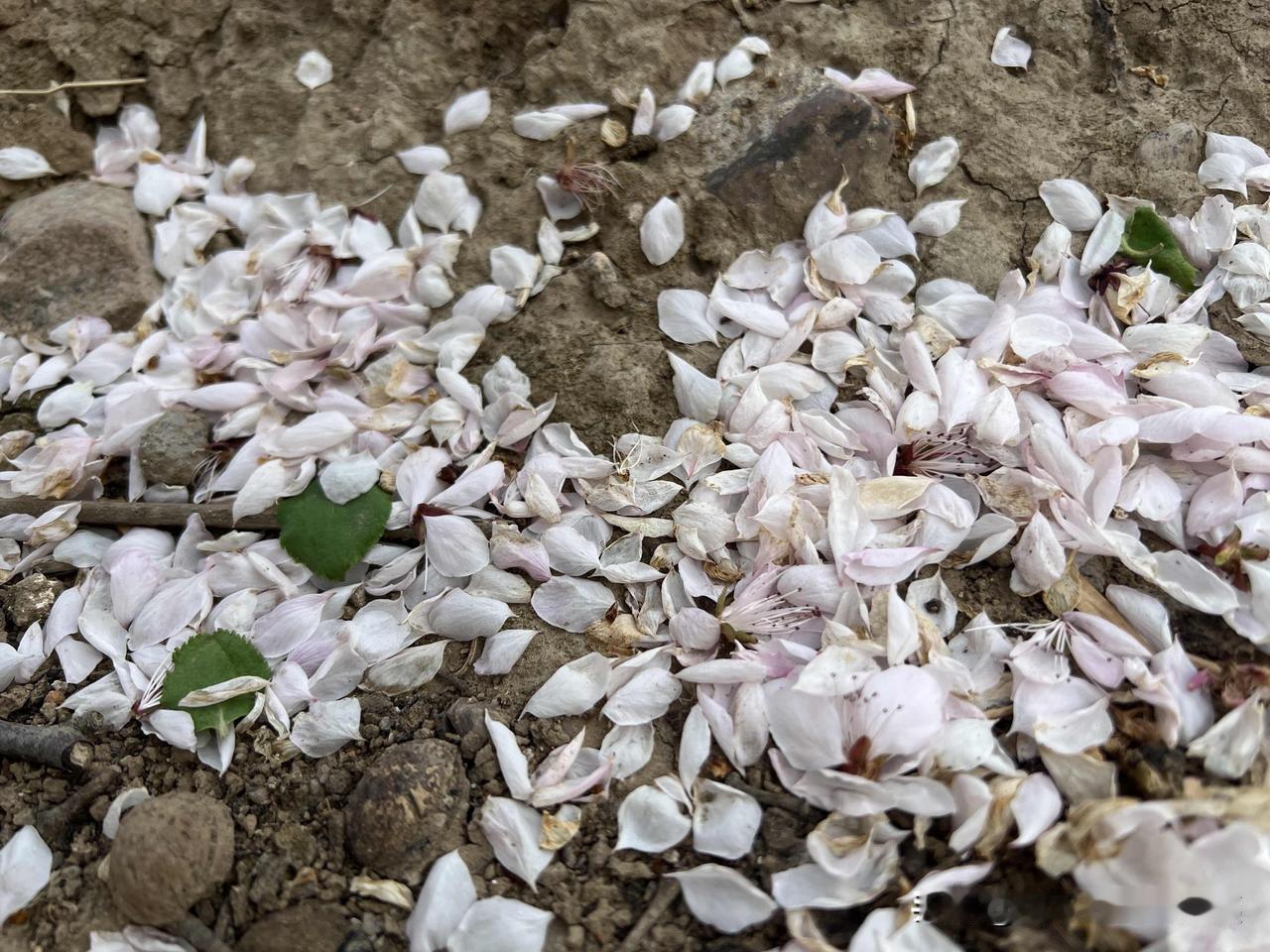 我听过的一个恐怖故事是这样的：村里的某某特别爱耍钱（赌博）。有一天，他在外村