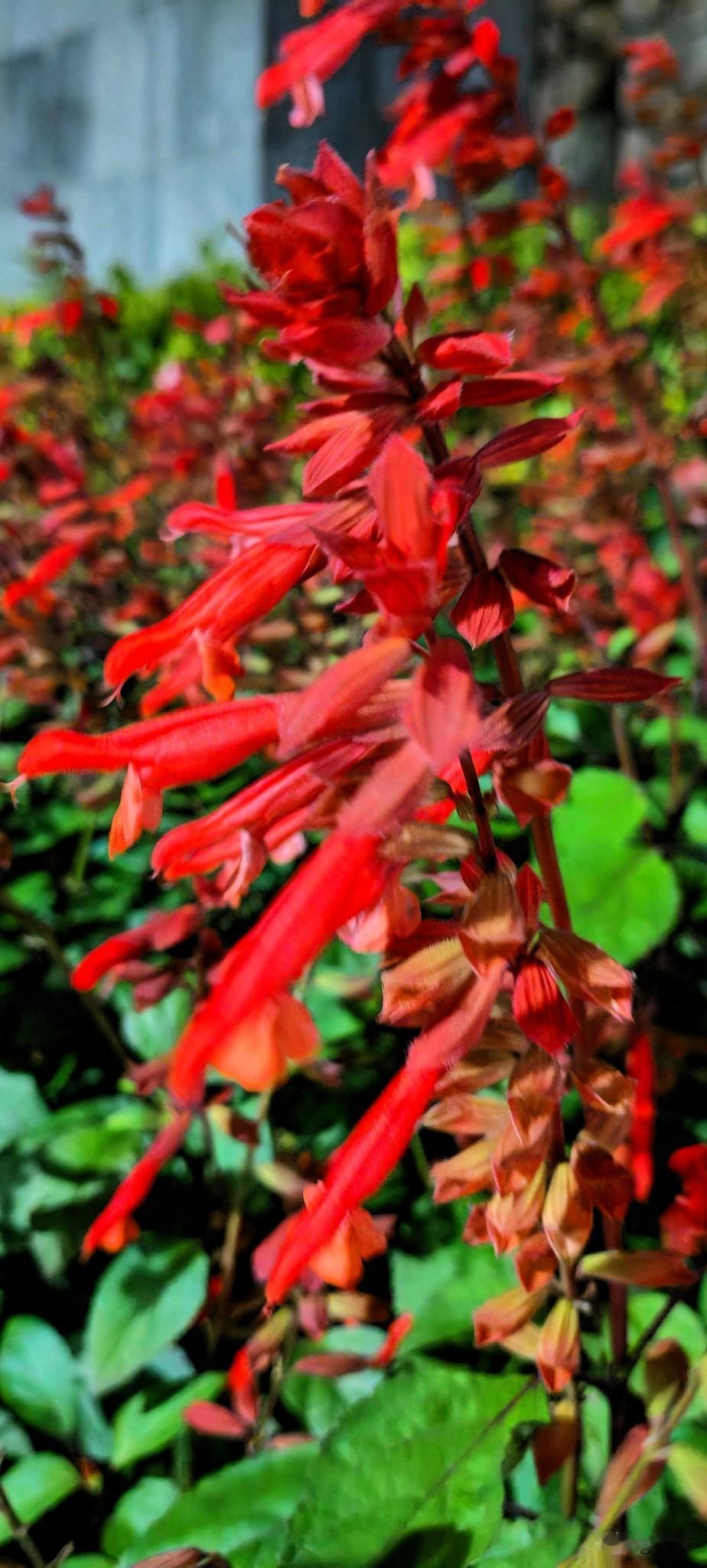 女子和和二婚老公过了17年，因为一些事离了。这个二婚老公又找了结婚了然后又离了