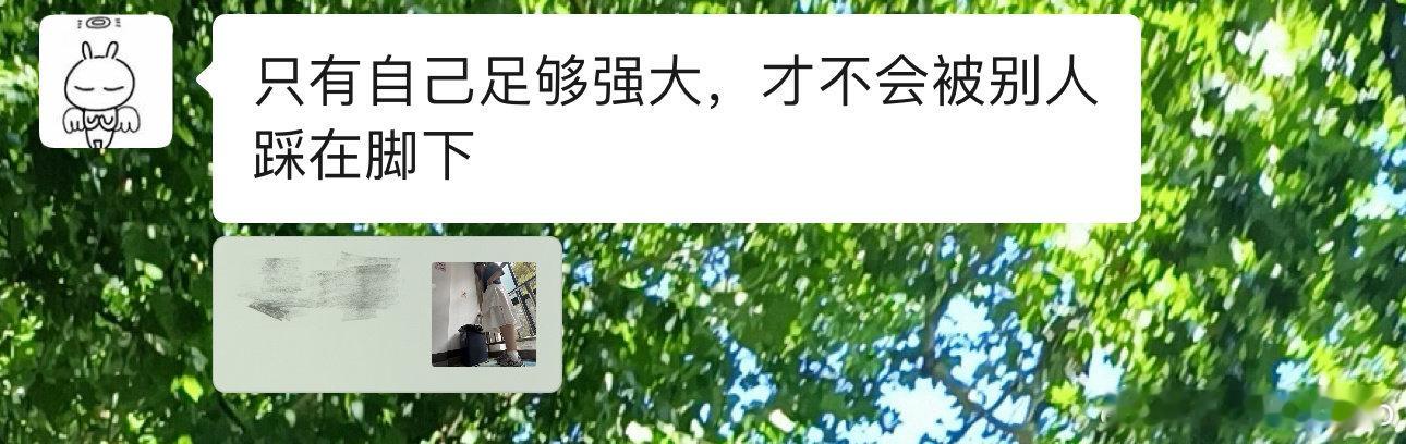 codex运行时被室友邀请拍摄妖精照片​