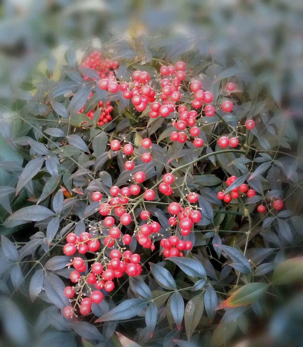 别以为退休就是躺平带孙子，现在的银发圈子“内卷”得让你怀疑人生！最新流出的几组