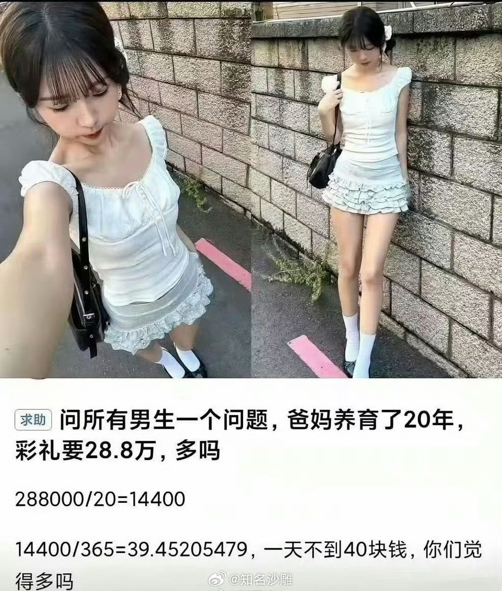 爸妈养了自己20年，彩礼只要28.8万，一天不到40块钱，你们觉得多吗？那还不如