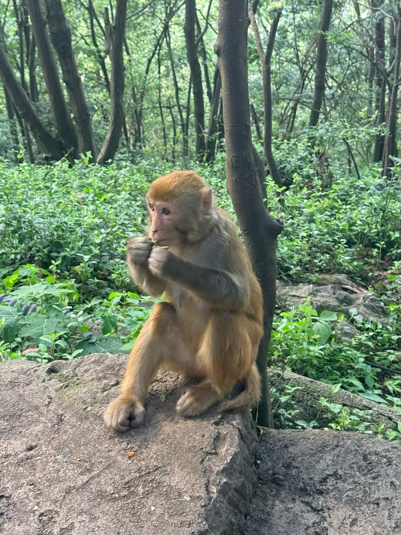 尼采说，热心是一种粗俗。这话听着刺耳，但细品，有道理。他说热心是对伪善权利的