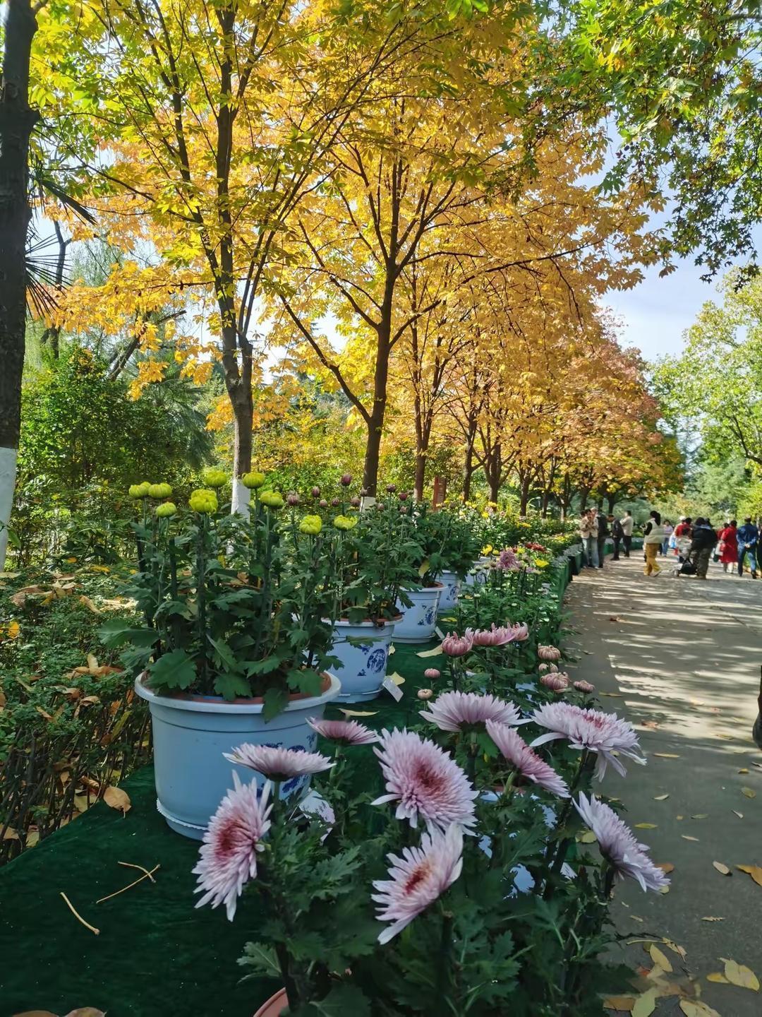 如果女人熬到退休时，达到了下面这四条标准，那么恭喜你，你已经胜过了90以上的退休