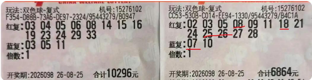 1.6万团队本期不赔不赚：虽然1万大票分毫没中，但6864复式的13+2组合命中