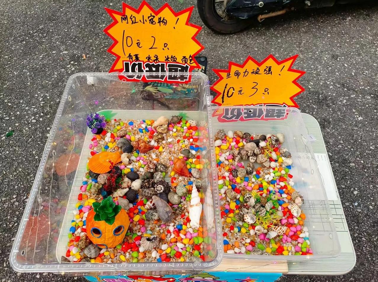 没想到真有粉丝去现场看我摆摊了，真是尴尬。今天晚上我因为要出去玩，所以就出摊早