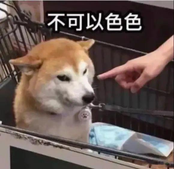 为什么美人计使用率如此之高为什么美人计的使用率如此之高？答案当然是，好用！贪财