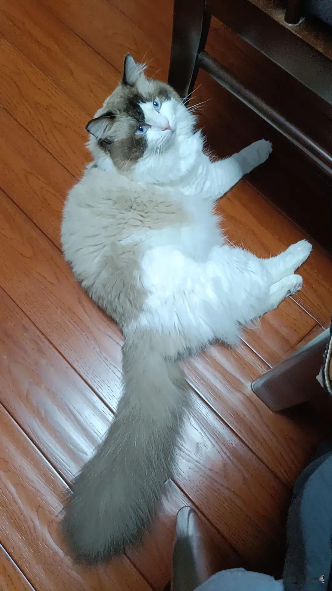 今天和老同志出门，早上8点出门晚上8点到家，出去了整整12个小时。晚上到家一开