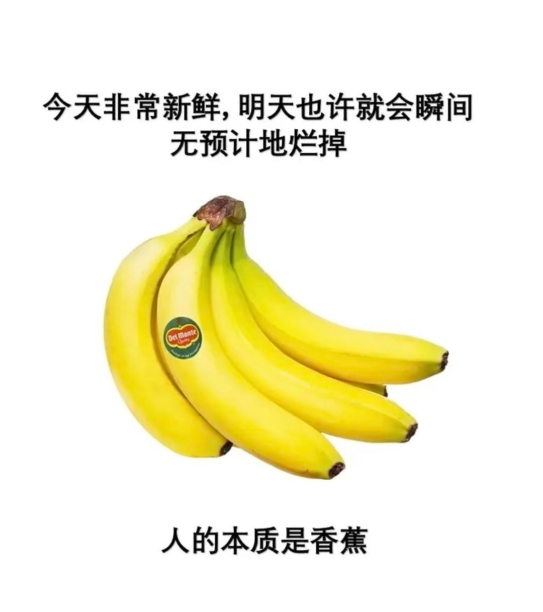 一些莫名其妙的梗图​​​