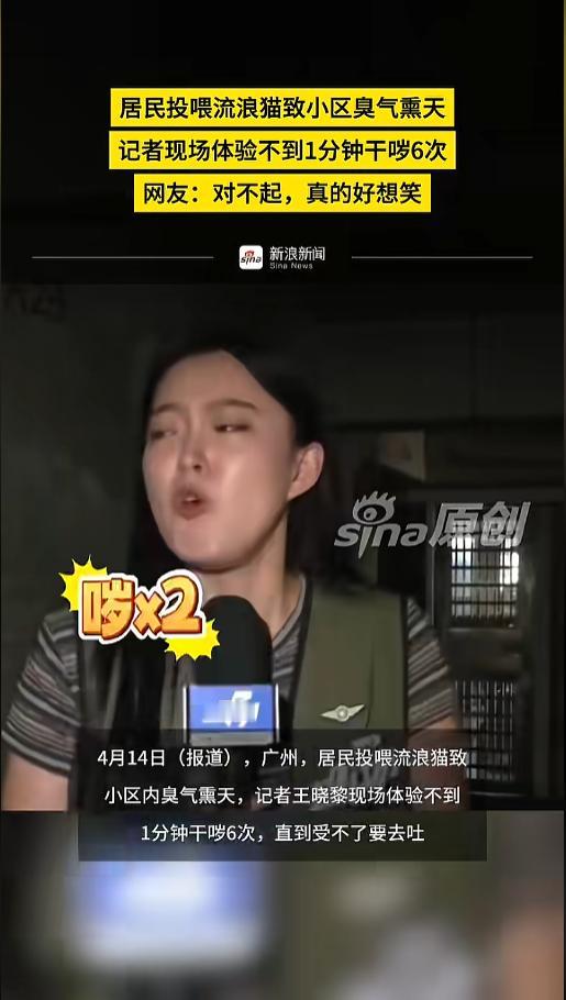 “yue上热搜！”近日，广东，有小区居民投诉，楼道里被人养了流浪猫狗，现场气味十