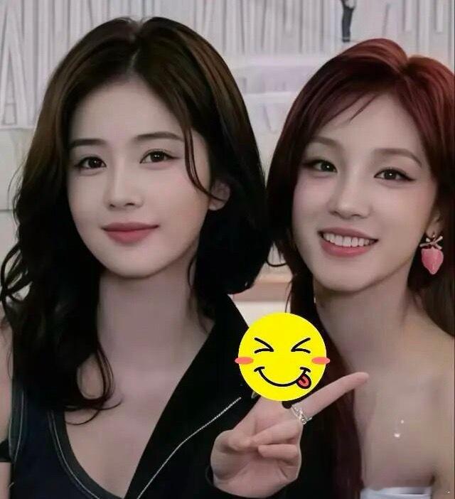 看演唱会旁边坐的白鹿羡慕这位网友，看演唱会旁边坐着白鹿，一抬头就是心动暴击，这是