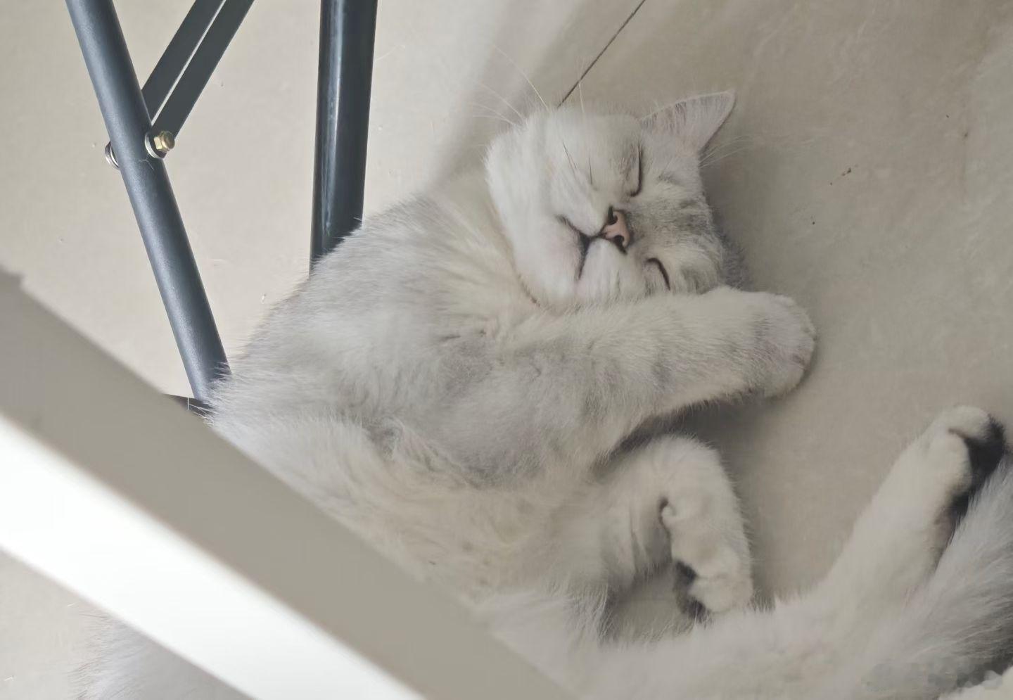 孩子太可爱了​​​