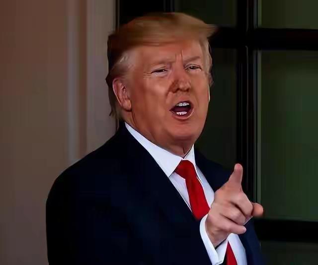 美国突然改了军售规矩，民进党一下子就慌了神。2月6日特朗普签了行政令，彻底