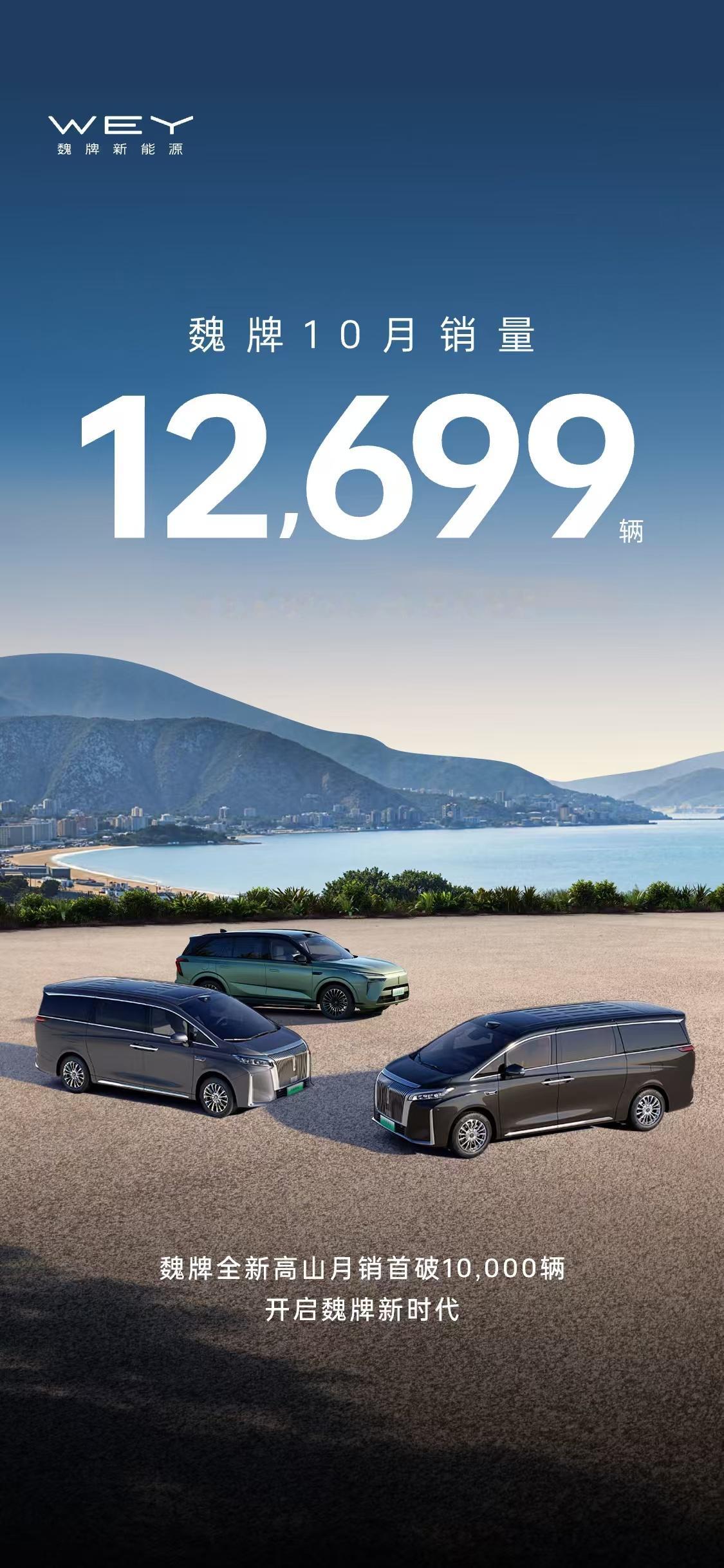 魏牌销量魏牌全新蓝⼭魏牌新能源这销量势头真够猛的，10月份直接登顶了，又一次
