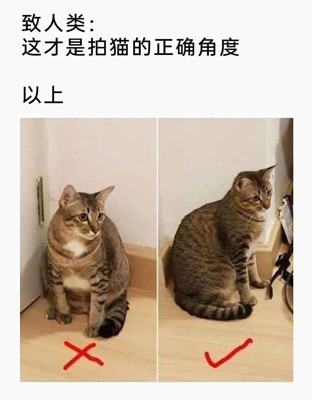角度很重要​​​
