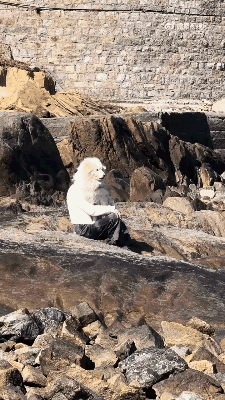 现在你知道什么叫摄影界鬼才了吧！为了你，我变成狼人模样！