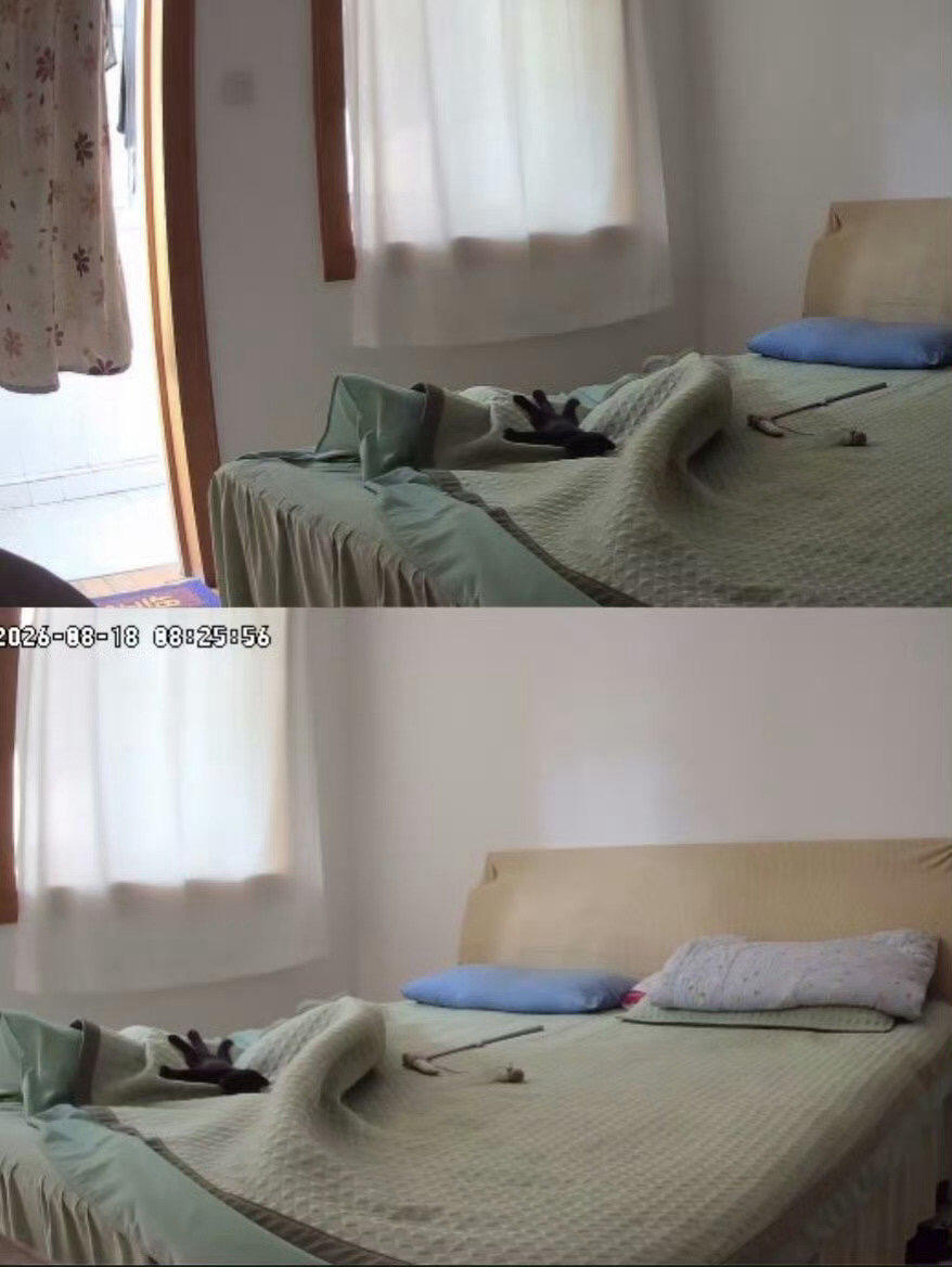 小猫把自己睡成小手套了​​​