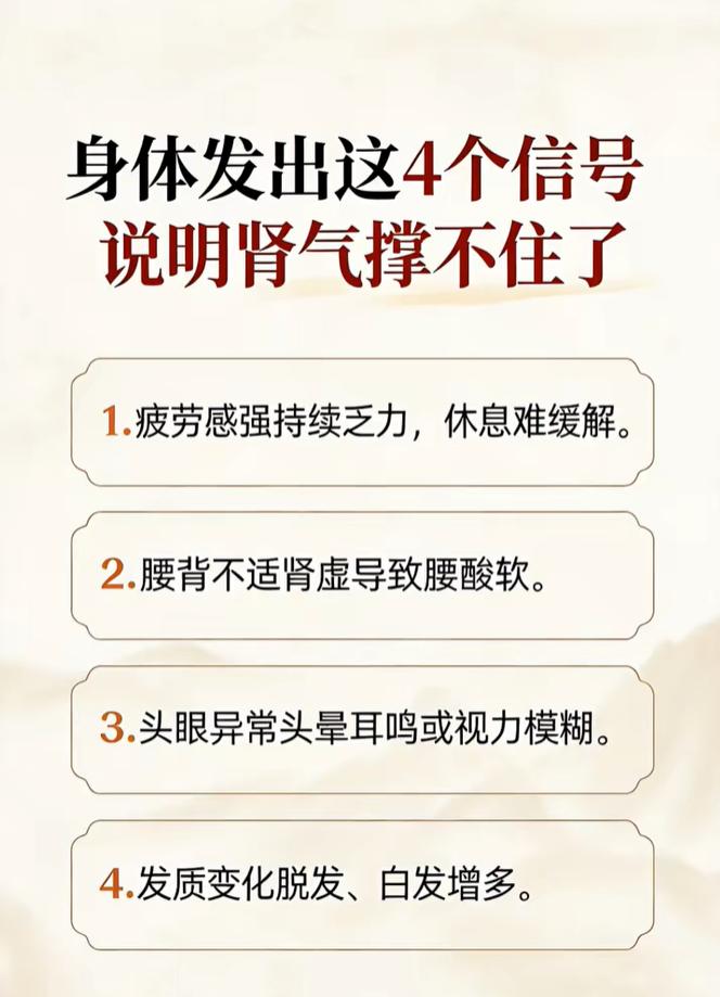 中医理论中，肾为先天之本，主藏精。肾气充足，人体精力、筋骨、毛发才能得到濡养。当