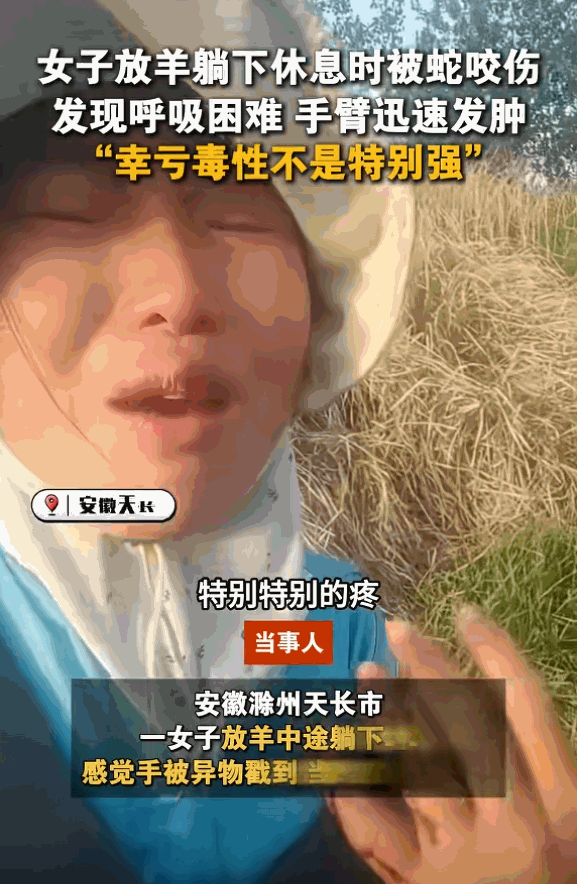 “命真硬！”安徽滁州，一女子放羊途中躺下休息时，突然感觉手被异物戳到，醒来发现手