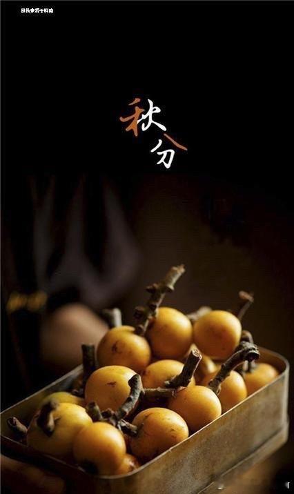 秋分养生注意4件事秋分至，昼夜均长寒暑平。此时养生要留意：添衣保暖防着凉，饮食润