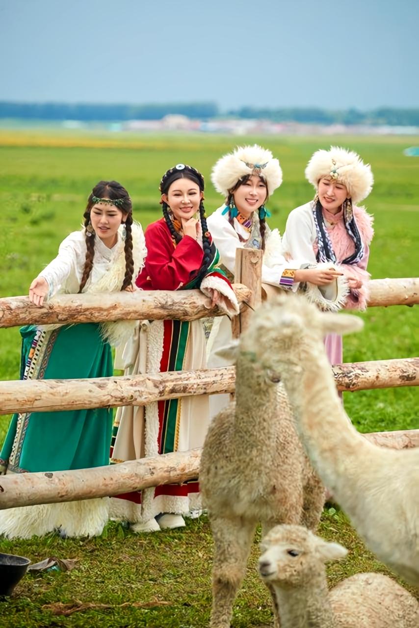 2025年12月30日，这档旅行综艺收官热度飙升，评论区都在热议嘉宾表现。沈腾控