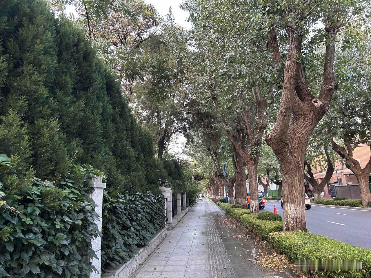 空降新部门被老油条架空？你是刚被提拔到新部门当领导，本想撸起袖子大干一场，结果