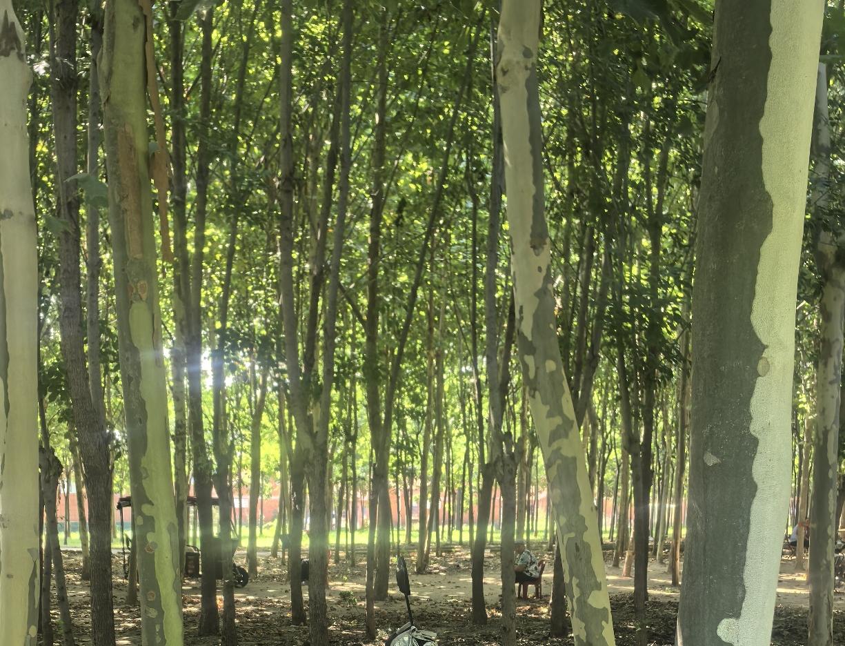 不瞒大家说，我是乙肝家属，到后来化验我也有过乙肝，但此时已经产生抗体。更让人想