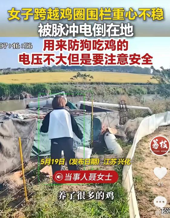 5月19日报道，江苏兴化的聂女士为防野狗咬鸡，在自家鸡圈装了低功率脉冲围栏。这天
