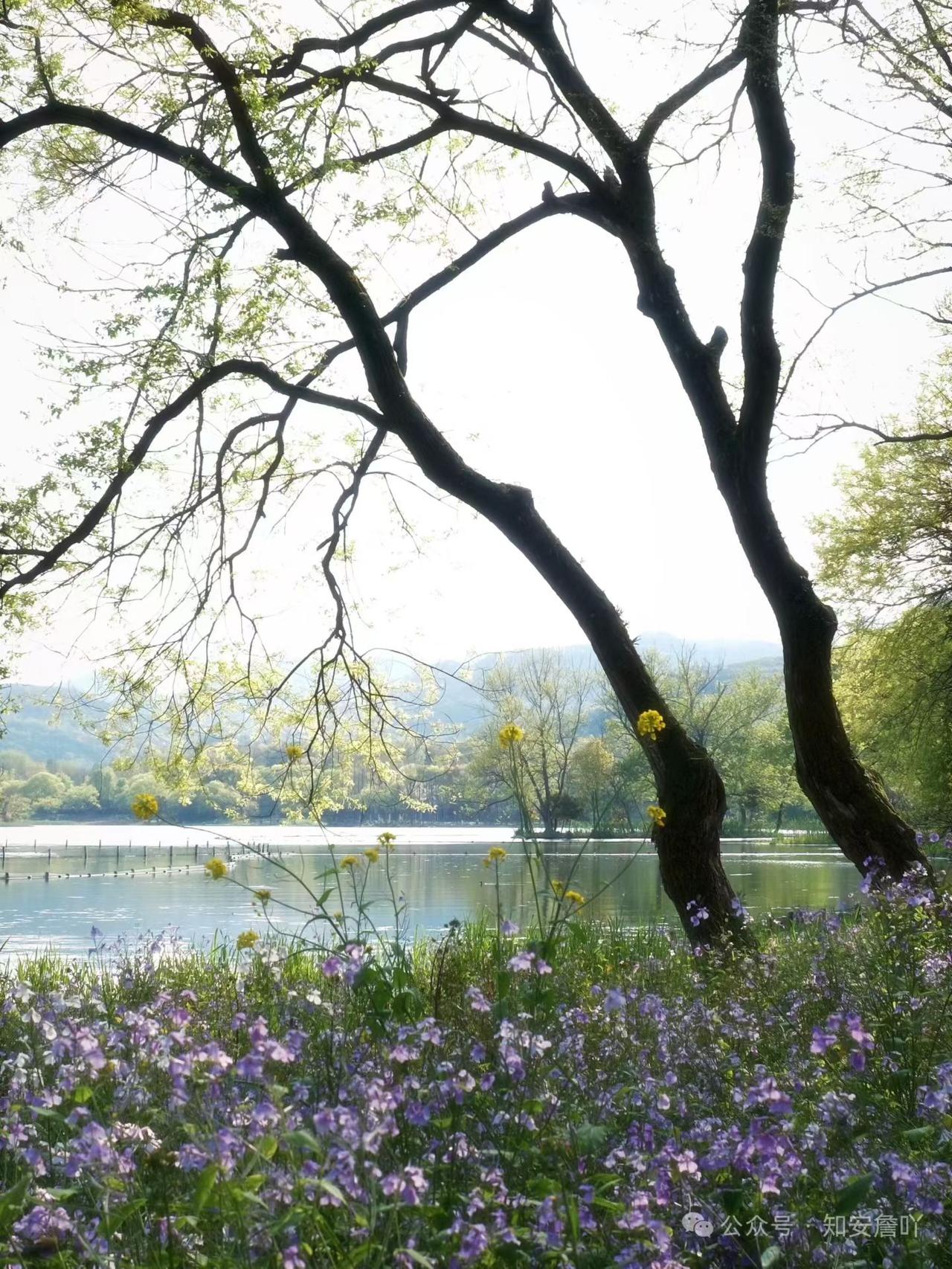 中国最有钱的8个村：北方第一强省山东呢？江苏省华西村安徽省小岗村山西省