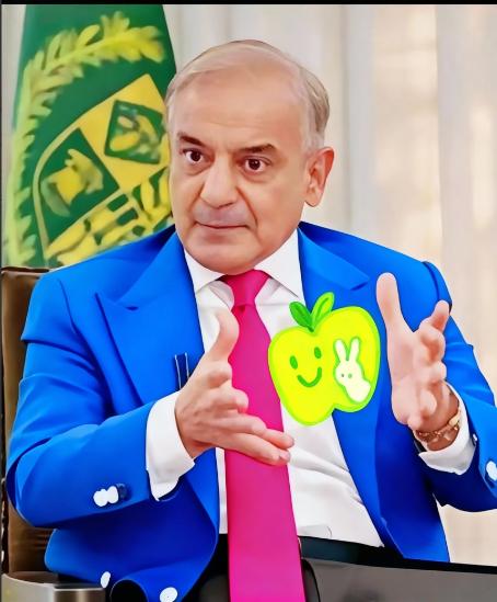 11月23日，巴基斯坦总理谢里夫对外说了一个新计划，名字叫国家经济复兴倡议，核心