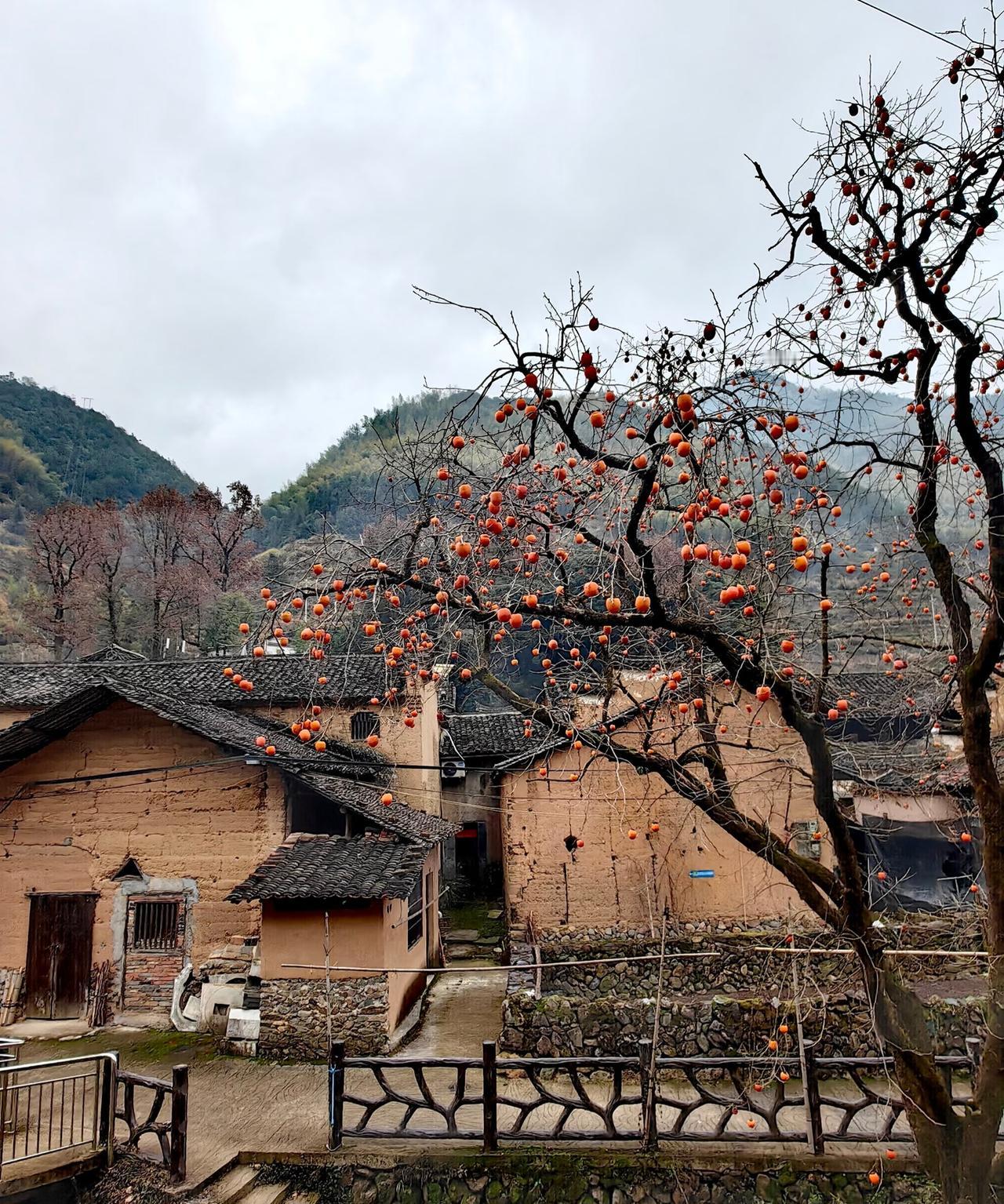 丽水松阳古村落大环线这里就是被《国家地理》誉为“江南最后的秘境”的松阳它保