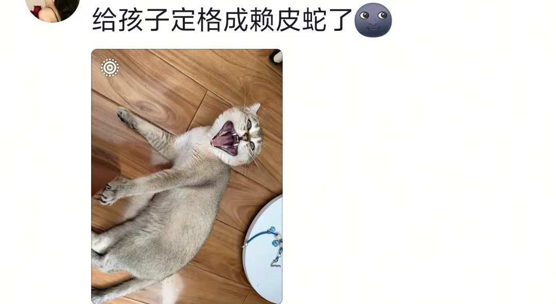 苹果定格有时候确实沾点病哈哈哈哈哈