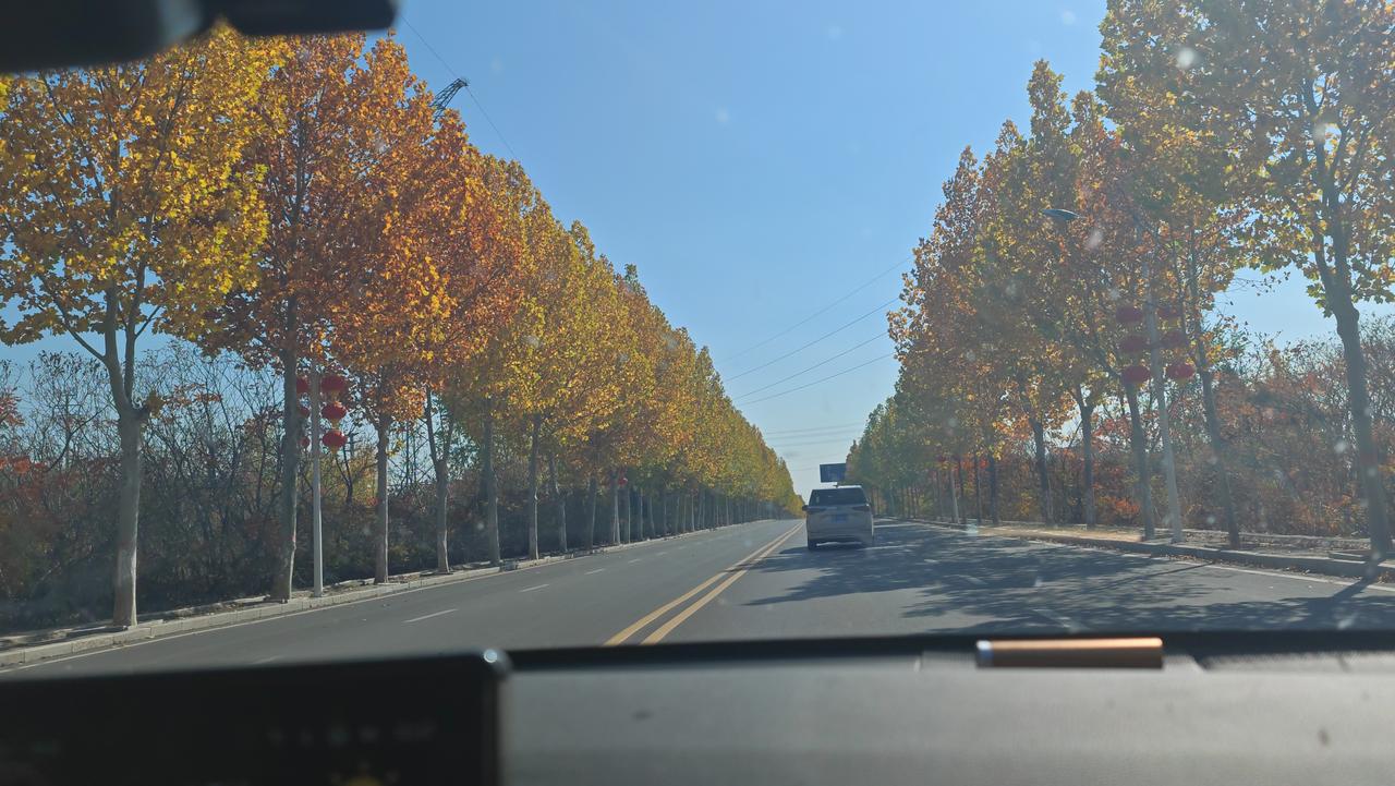 人生易老天难老，重阳岁岁，秋末秋风劲吹，霜天万里胜似春光。在平原地带生活久的人，