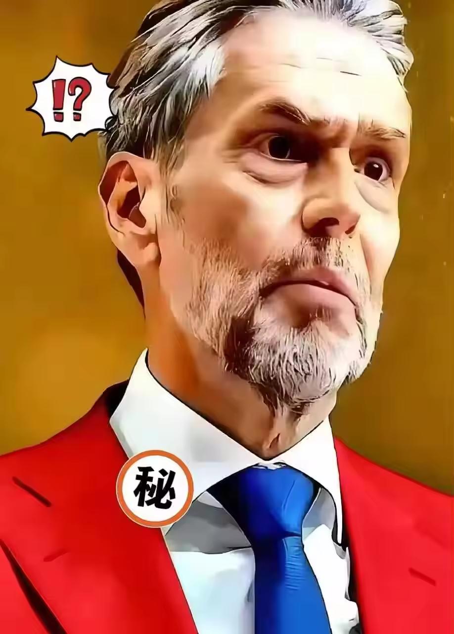 就在刚刚荷兰政府官宣关键决定！当地时间11月6日，全球科技产业链博弈再生波澜