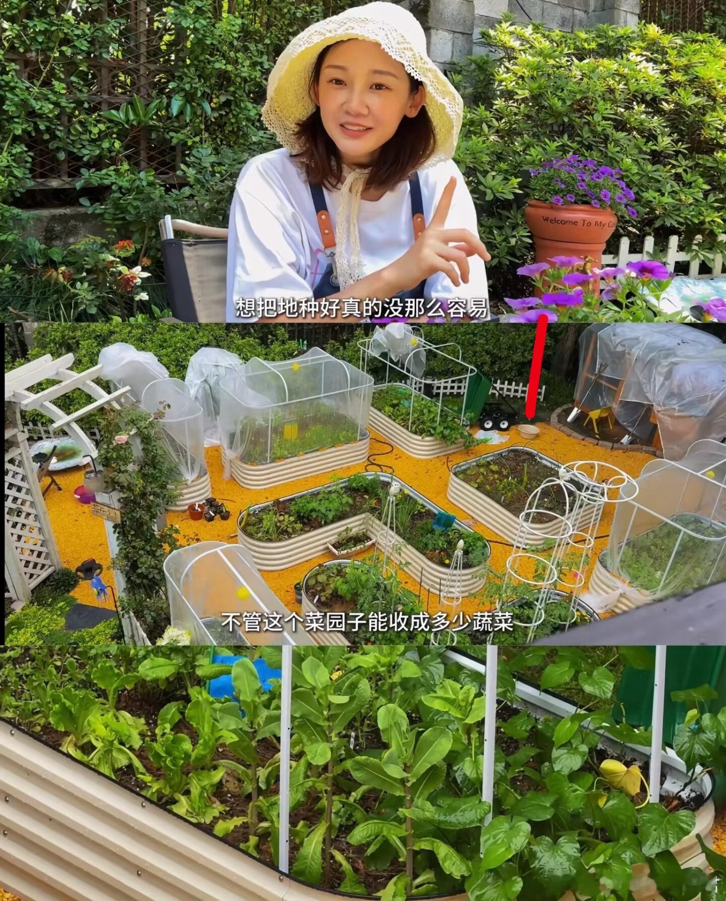 1.许嵩还是很想结婚的，但冯禧总觉得自己年纪小，有很多事没做，他也没什么怨言，就
