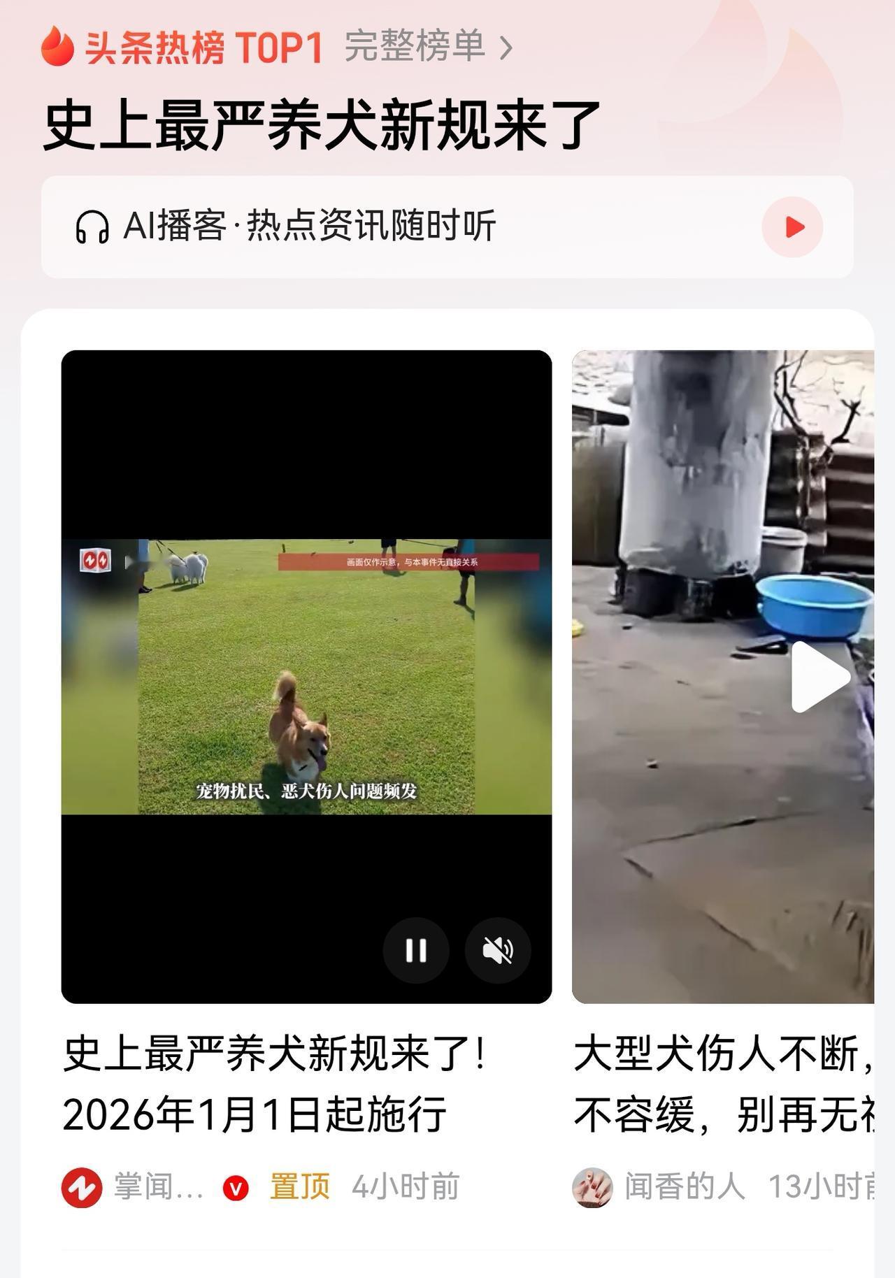 根据世上最严养犬新规来看，“史上最严”犬规背后，是一代人情感结构的变迁。20